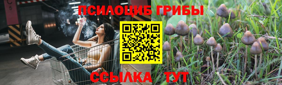 Псилоцибиновые грибы Magic Shrooms  Вход с VPN  Псилоцибиновые грибы MAGIC MUSHROOMS  Сафоново 